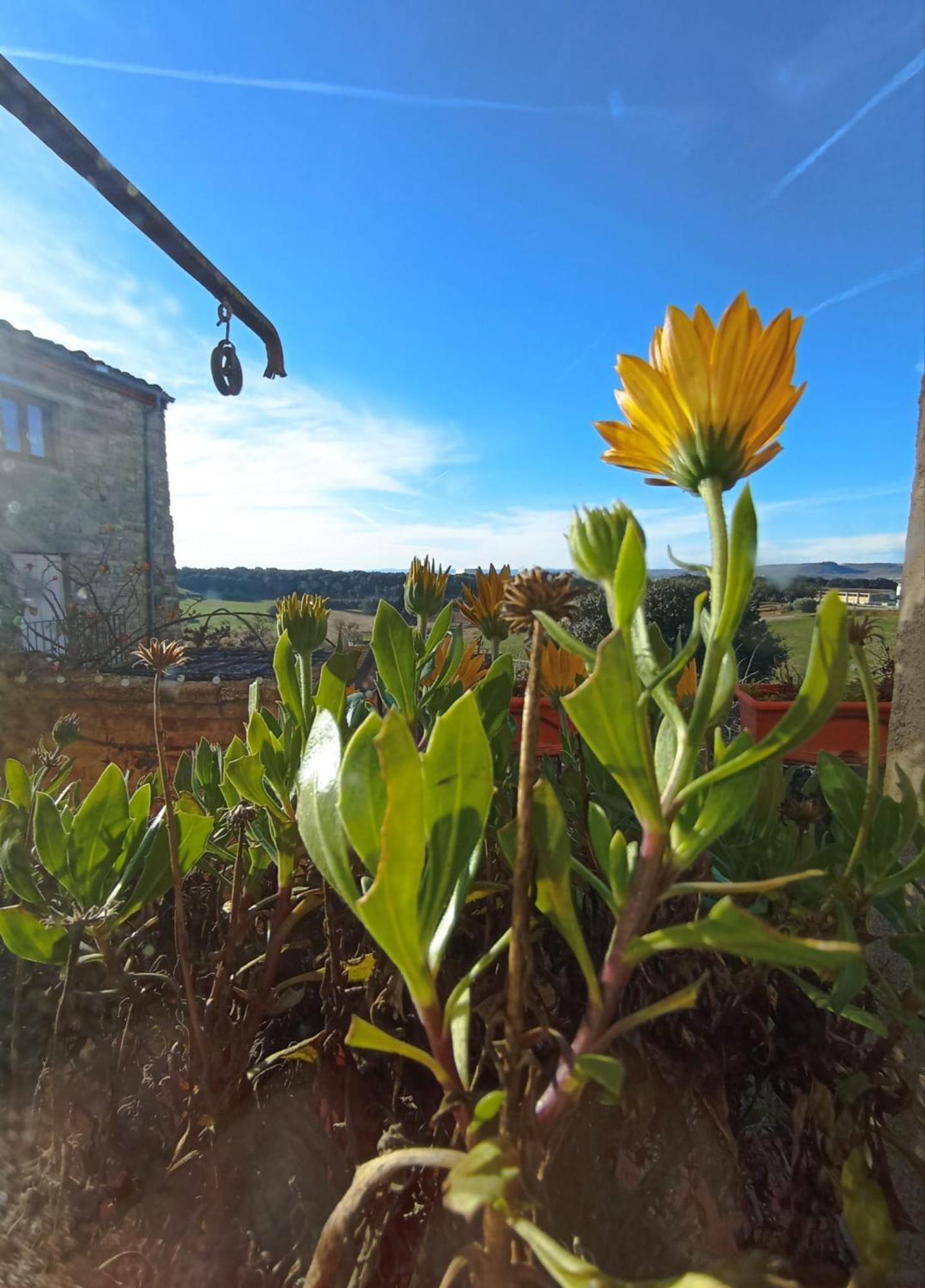 Гостевой дом Casa Pardal Coliving & Coworking Sant Pere Sallavinera Экстерьер фото