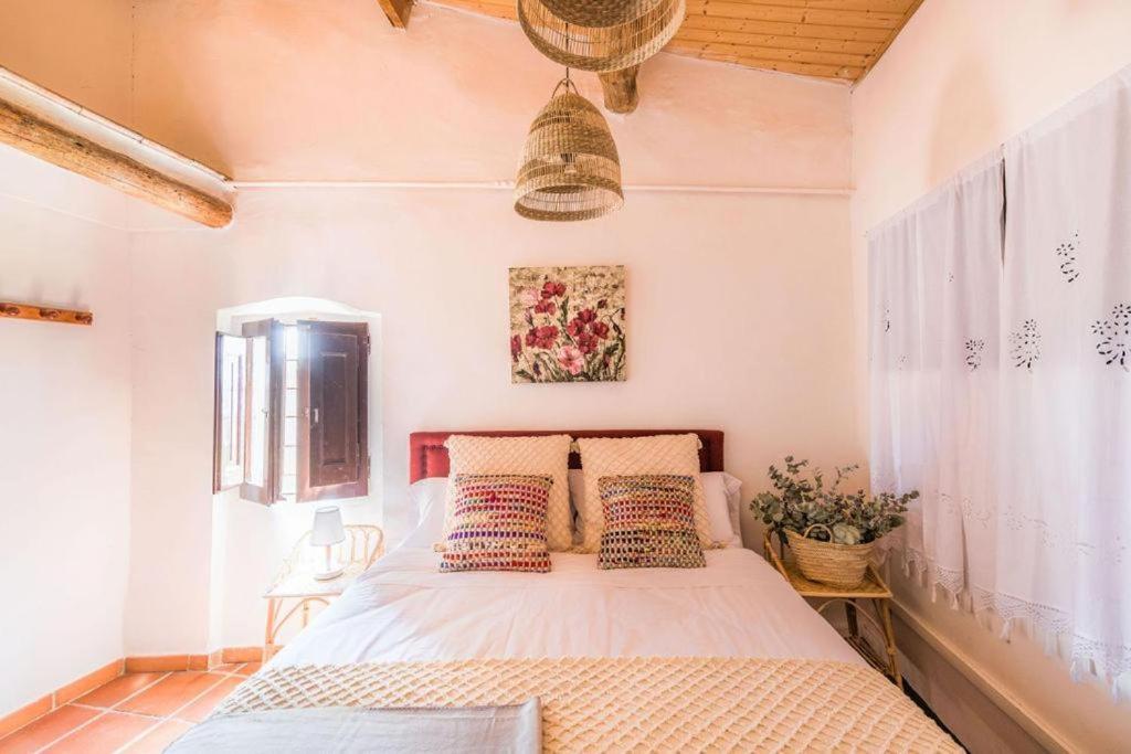 Гостевой дом Casa Pardal Coliving & Coworking Sant Pere Sallavinera Экстерьер фото